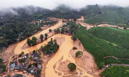 भूस्खलन में 11 रिश्तेदारों को खोने के एक साल बाद, Kerala के व्यक्ति को शफना में प्यार मिला भूस्खलन में 11 रिश्तेदारों को खोने के एक साल बाद, Kerala के व्यक्ति को शफना में प्यार मिला