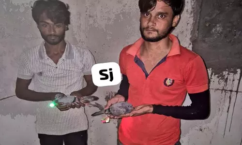 कबूतरों से ड्रोन जैसी अफवाह फैलाने वाले दो युवक गिरफ्तार, पुलिस कर रही पूछताछ कबूतरों से ड्रोन जैसी अफवाह फैलाने वाले दो युवक गिरफ्तार, पुलिस कर रही पूछताछ