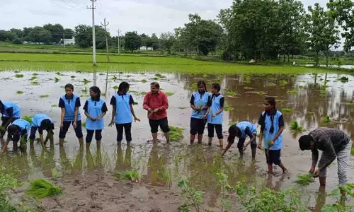 ZPHS के छात्रों को करीमनगर में धान की रोपाई का व्यावहारिक अनुभव मिला