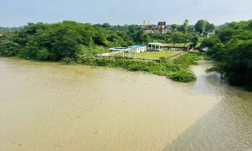 Auraiya: यमुना में बाढ़ का खतरा, प्रशासन ने कसी कमर Auraiya: यमुना में बाढ़ का खतरा, प्रशासन ने कसी कमर