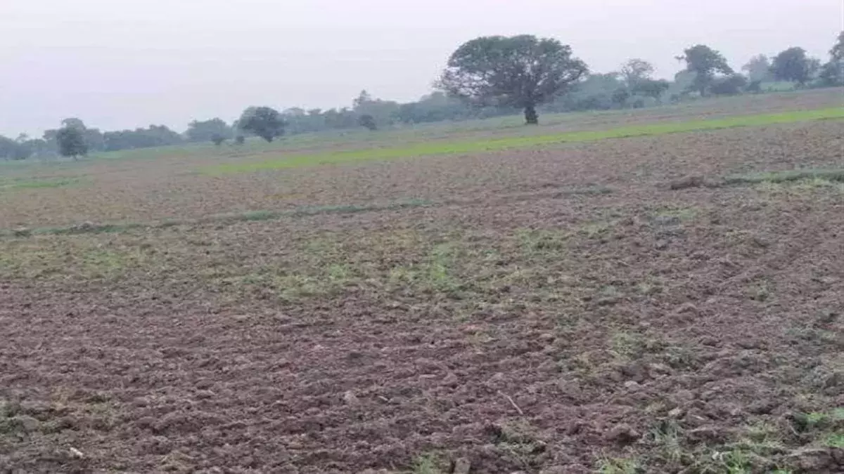Lucknow: चकबंदी में बड़ा बदलाव, पूरी प्रक्रिया होगी डिजिटल Lucknow: चकबंदी में बड़ा बदलाव, पूरी प्रक्रिया होगी डिजिटल