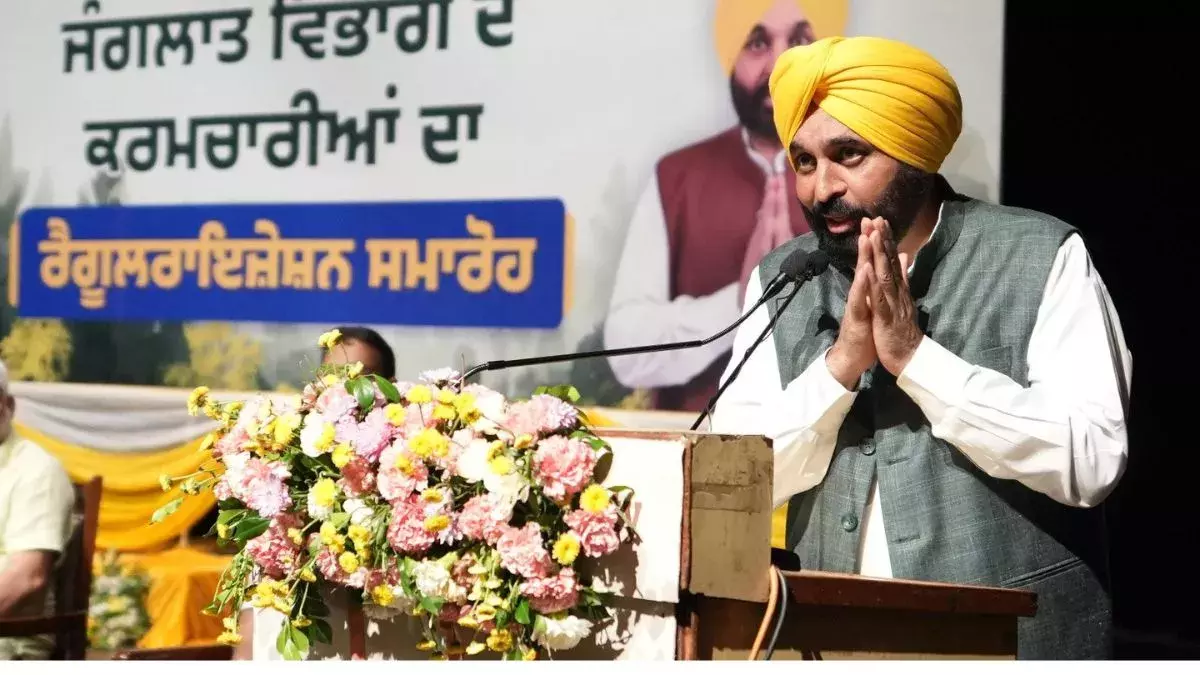नौकरी देने की प्रतिबद्धता, CM Bhagwant Mann ने 942 कर्मचारियों को नियुक्ति पत्र बांटे