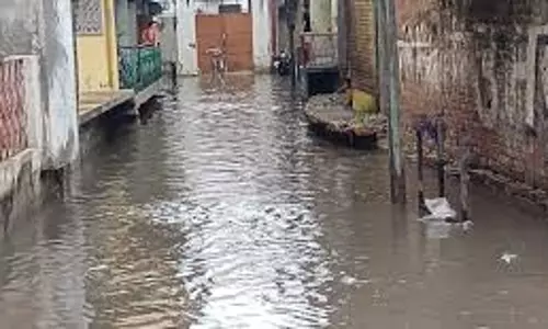 Farrukhabad: नहर और नालियों में जलभराव, लोगों में उभरा रोष Farrukhabad: नहर और नालियों में जलभराव, लोगों में उभरा रोष