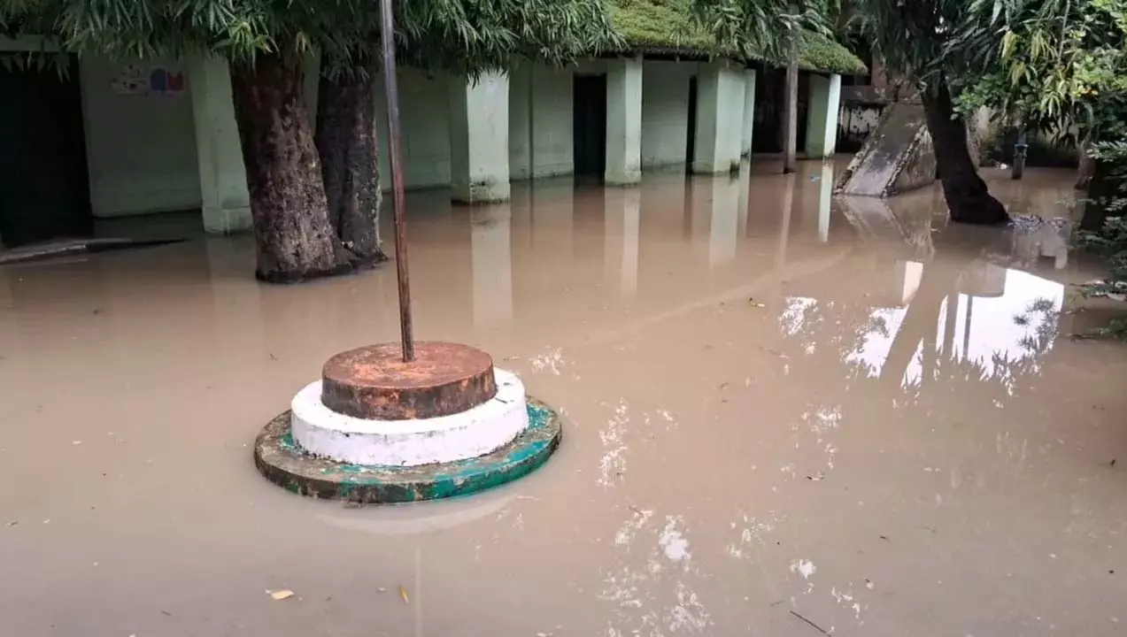 कक्षा में सांप मिलने पर सुबरनपुर कलेक्टर ने स्कूल एक दिन के लिए बंद करने का आदेश दिया कक्षा में सांप मिलने पर सुबरनपुर कलेक्टर ने स्कूल एक दिन के लिए बंद करने का आदेश दिया