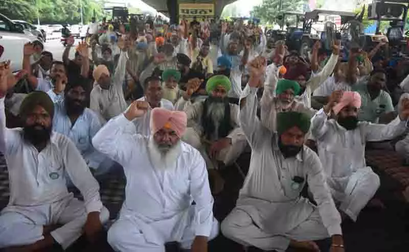 Ludhiana: भूमि पूलिंग नीति के विरोध में युवाओं की संख्या बुजुर्गों से अधिक Ludhiana: भूमि पूलिंग नीति के विरोध में युवाओं की संख्या बुजुर्गों से अधिक