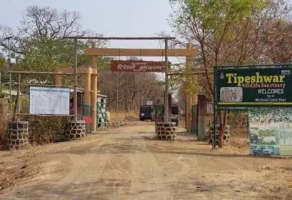 Tipeshwar अभयारण्य परियोजना के पीड़ितों को कृषि भूमि का मुआवजा नहीं मिला Tipeshwar अभयारण्य परियोजना के पीड़ितों को कृषि भूमि का मुआवजा नहीं मिला