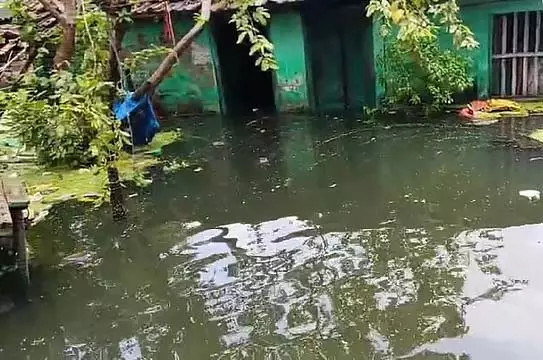शहर विकास के जाल में डूबा हुआ शहर विकास के जाल में डूबा हुआ