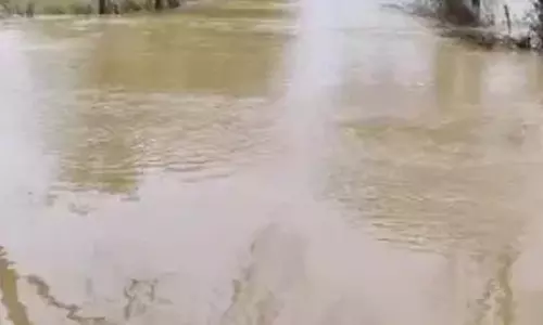 बस्तर और सरगुजा में बाढ़, आज बारिश के आसार नहीं