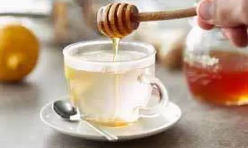 Health: गुनगुने पानी में शहद सेहत के लिए किसी वरदान से कम नहीं Health: गुनगुने पानी में शहद सेहत के लिए किसी वरदान से कम नहीं