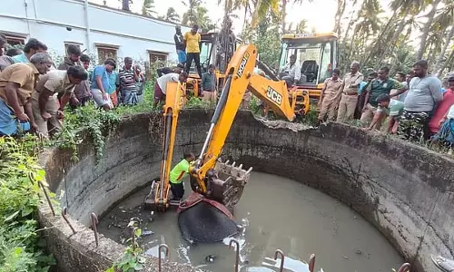 Tamil Nadu : कृषि कुएं में गिरने से जंगली हाथी की मौत
