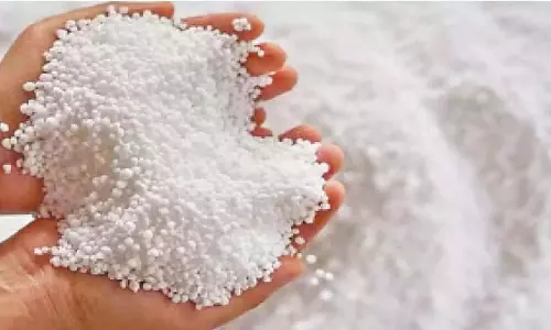 राज्य को 10-15 दिनों में 1.35 लाख मीट्रिक टन यूरिया की आपूर्ति मिलेगी: Bommai राज्य को 10-15 दिनों में 1.35 लाख मीट्रिक टन यूरिया की आपूर्ति मिलेगी: Bommai