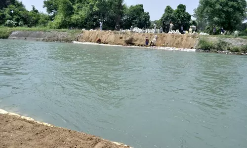 पंजाब ने भाखड़ा जल वाहक चैनलों की मरम्मत के लिए हरियाणा से 113 करोड़ रुपये मांगे