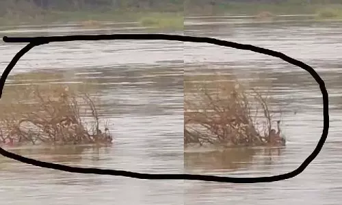 Haveri : कपड़े धोने गई महिला तुंगभद्रा नदी में बह गई Haveri : कपड़े धोने गई महिला तुंगभद्रा नदी में बह गई