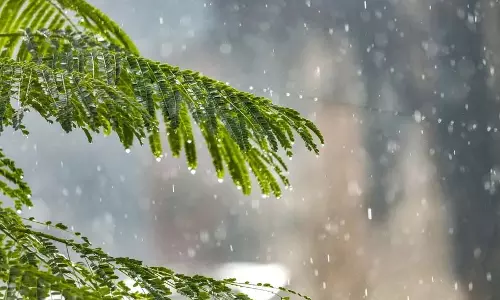 Kerala में बारिश की चेतावनी: 3 अगस्त से भारी बारिश की आशंका Kerala में बारिश की चेतावनी: 3 अगस्त से भारी बारिश की आशंका