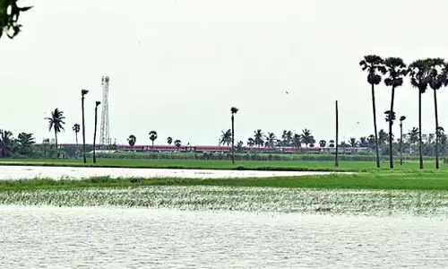 Machgaon नहर का तटबंध टूटने से रघुनाथपुर के 15 गांव जलमग्न Machgaon नहर का तटबंध टूटने से रघुनाथपुर के 15 गांव जलमग्न