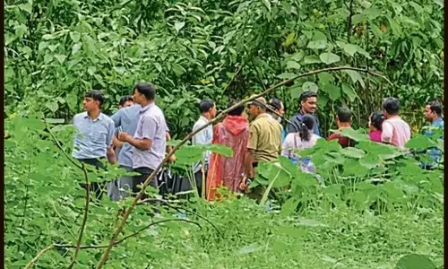 धर्मस्थल सामूहिक दफ़नाने का मामला: छठे स्थल पर कंकाल मिला