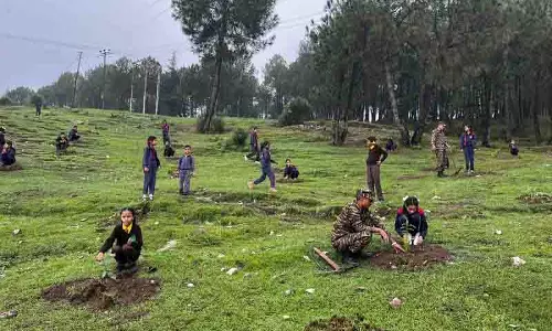 Himachal: पौधारोपण अभियान आयोजित Himachal: पौधारोपण अभियान आयोजित
