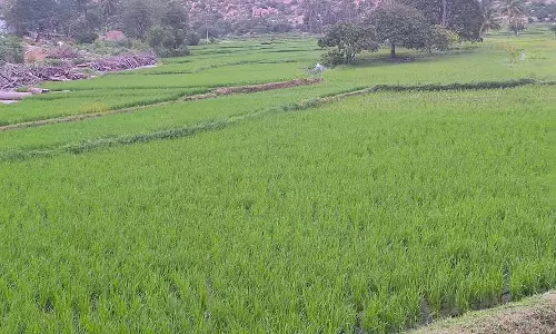 Koppal : जुलाई में बारिश की कमी पूरी हो गई Koppal : जुलाई में बारिश की कमी पूरी हो गई