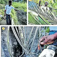 Pathanamthitta में बिजली का तार गिरने से आठवीं कक्षा का छात्र बाल-बाल बचा Pathanamthitta में बिजली का तार गिरने से आठवीं कक्षा का छात्र बाल-बाल बचा