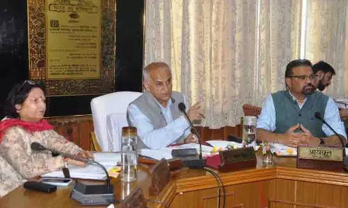 एक दशक की खामोशी के बाद Shimla में आवारा कुत्तों का आतंक