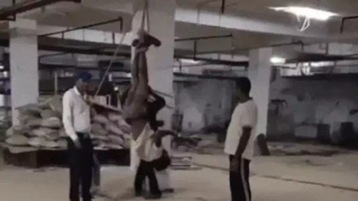 Gurugram: ठेकेदार ने JCB ड्राइवर को छत से उल्टा लटकाकर की पिटाई, पुलिस ने किया गिरफ्तार Gurugram: ठेकेदार ने JCB ड्राइवर को छत से उल्टा लटकाकर की पिटाई, पुलिस ने किया गिरफ्तार