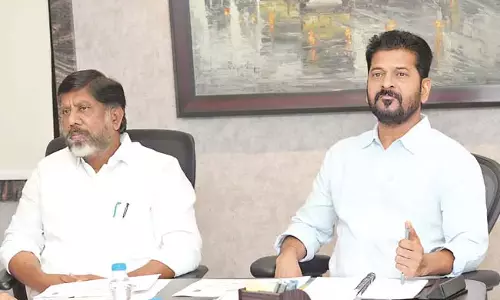 राज्य में एक और नई बिजली वितरण कंपनी  स्थापित करने के लिए कदम उठाने का आदेश दिया : CM