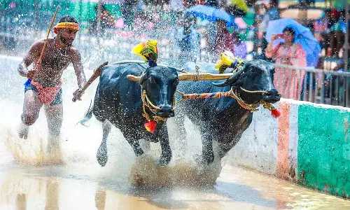 कंबाला के लिए ₹20 लाख का अनुदान: कंबाला समिति नाखुश