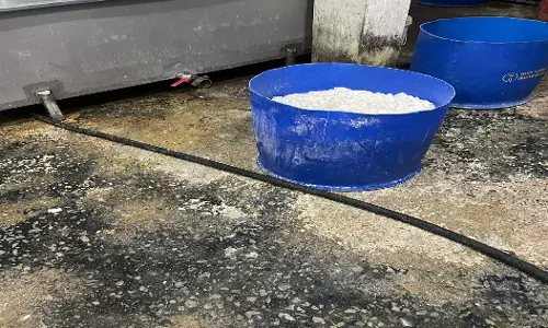 रायपुर में पकड़ाया नकली पनीर का जखीरा, देखें VIDEO... रायपुर में पकड़ाया नकली पनीर का जखीरा, देखें VIDEO...