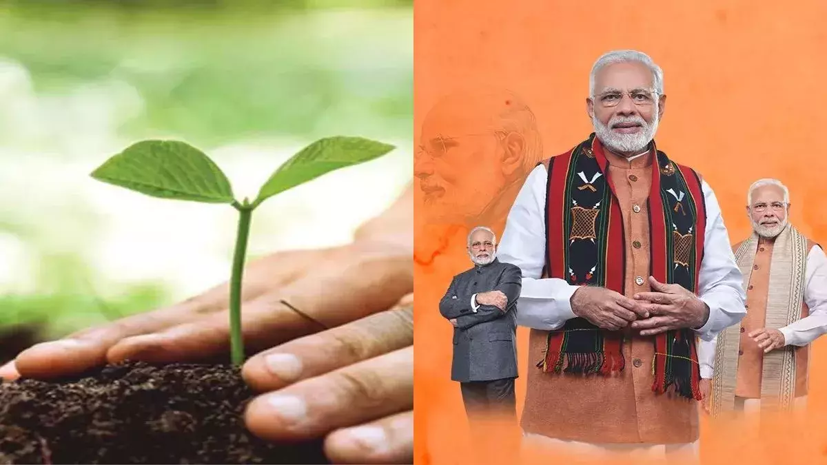 Odisha में PM के जन्मदिन पर चलेगा विशेष पौधारोपण अभियान, लगेंगे 75 लाख पौधे