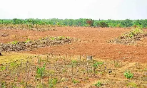 KPHB फेज IV का 1 एकड़ का प्लॉट ई-नीलामी में 65.34 करोड़ रुपये में बिका