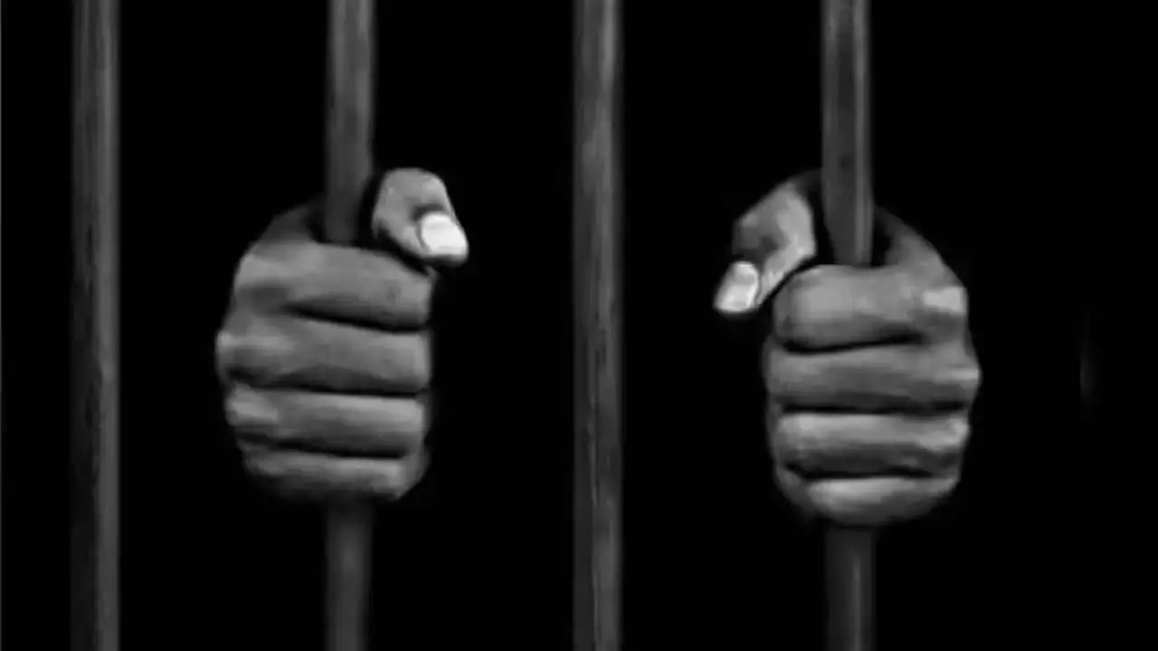 Telangana: सरोगेसी रैकेट जांच में पुलिस ने हिरासत मांगी