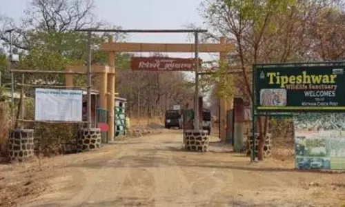 Tipeshwar अभयारण्य परियोजना के पीड़ितों को कृषि भूमि का मुआवजा नहीं मिला Tipeshwar अभयारण्य परियोजना के पीड़ितों को कृषि भूमि का मुआवजा नहीं मिला