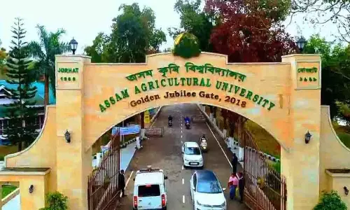 अस्वीकृति के बीच निर्यात-गुणवत्ता वाले चावल के बीजों को बढ़ावा देने के लिए AAU ने पहल शुरू की अस्वीकृति के बीच निर्यात-गुणवत्ता वाले चावल के बीजों को बढ़ावा देने के लिए AAU ने पहल शुरू की