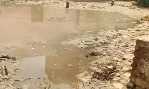 Auraiya: जलभराव से असेवा गांव में ग्रामीणों को हो रही दिक्कतें