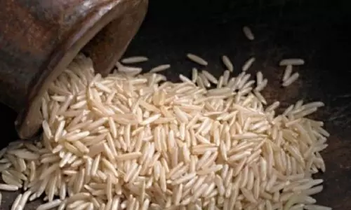 भारत ने अमेरिकी टैरिफ को व्यापारिक चुनौतियों के रूप में स्वीकार किया