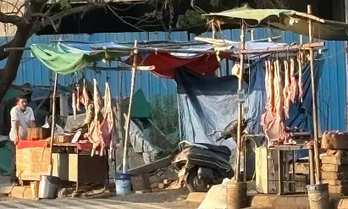 DGCA ने हवाई अड्डे के आसपास वन्यजीवों के खतरे को गंभीरता से लिया