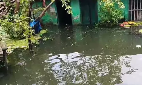 शहर विकास के जाल में डूबा हुआ