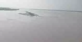 Badaun: गंगा का जलस्तर फिर बढ़ा, किसान संकट में Badaun: गंगा का जलस्तर फिर बढ़ा, किसान संकट में