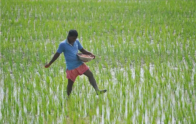 अन्नदाता योजना से आंध्र के कृष्णा-NTR जिलों के 2.5 लाख से अधिक किसानों को लाभ मिलेगा अन्नदाता योजना से आंध्र के कृष्णा-NTR जिलों के 2.5 लाख से अधिक किसानों को लाभ मिलेगा