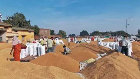 भारत में 76 प्रतिशत से अधिक ग्रामीण परिवारों ने खपत में दर्ज की वृद्धि : नाबार्ड भारत में 76 प्रतिशत से अधिक ग्रामीण परिवारों ने खपत में दर्ज की वृद्धि : नाबार्ड