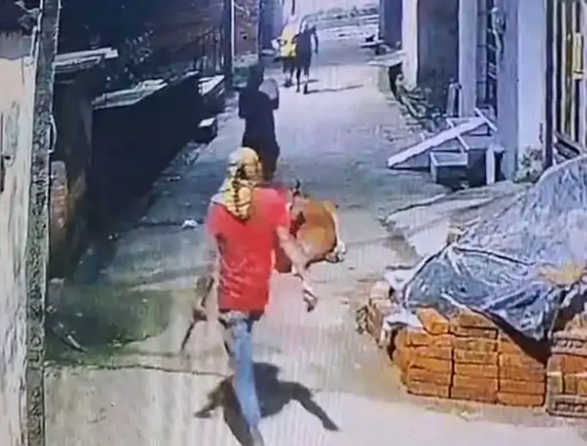गमछा गिरोह ने चोरी की वारदात को दिया अंजाम, नगदी और जेवर उड़ाए गमछा गिरोह ने चोरी की वारदात को दिया अंजाम, नगदी और जेवर उड़ाए