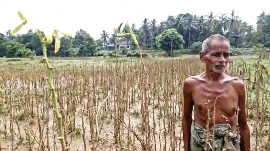किसानों के लिए संकट गहराया, बाढ़ से बालासोर की कृषि भूमि नष्ट किसानों के लिए संकट गहराया, बाढ़ से बालासोर की कृषि भूमि नष्ट
