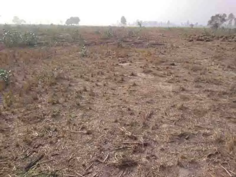 Akali नेता ने अयाली से भूमि पूलिंग योजना पर रुख स्पष्ट करने को कहा Akali नेता ने अयाली से भूमि पूलिंग योजना पर रुख स्पष्ट करने को कहा
