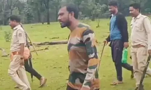 बाघ के पैर के निशान दिखने पर रायगढ़ में वन विभाग अलर्ट