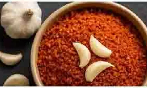 Dry Garlic Chutney: मिनटों में तैयार करें यह मसालेदार,स्वादिष्ट लहसुन की चटनी Dry Garlic Chutney: मिनटों में तैयार करें यह मसालेदार,स्वादिष्ट लहसुन की चटनी