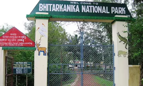 Odisha का भितरकनिका राष्ट्रीय उद्यान आज पर्यटकों के लिए फिर से खुल गया