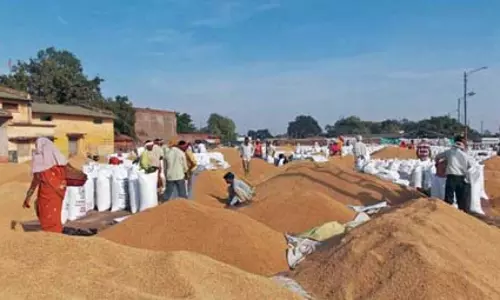 भारत में 76 प्रतिशत से अधिक ग्रामीण परिवारों ने खपत में दर्ज की वृद्धि : नाबार्ड