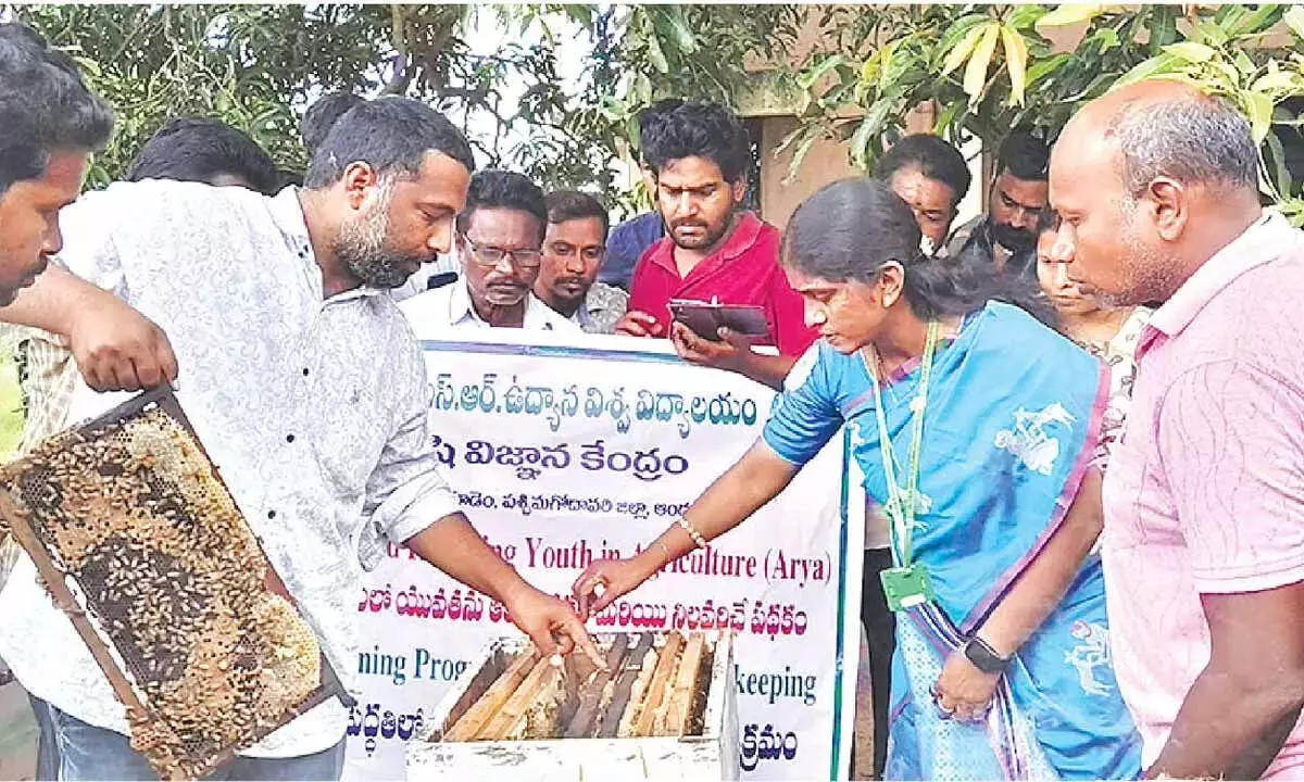 Andhra Pradesh : वैज्ञानिक मधुमक्खी पालन प्रशिक्षण संपन्न