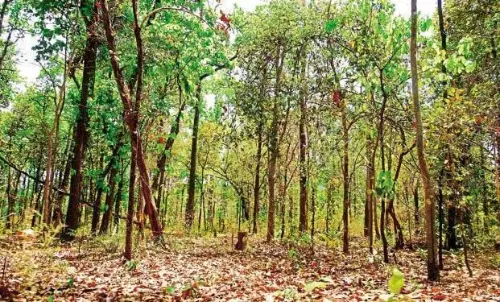 वन भूमि परिवर्तन में ओडिशा दूसरे स्थान पर