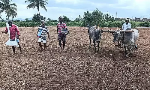 Gadag : 500 मीट्रिक टन यूरिया उर्वरक की आपूर्ति